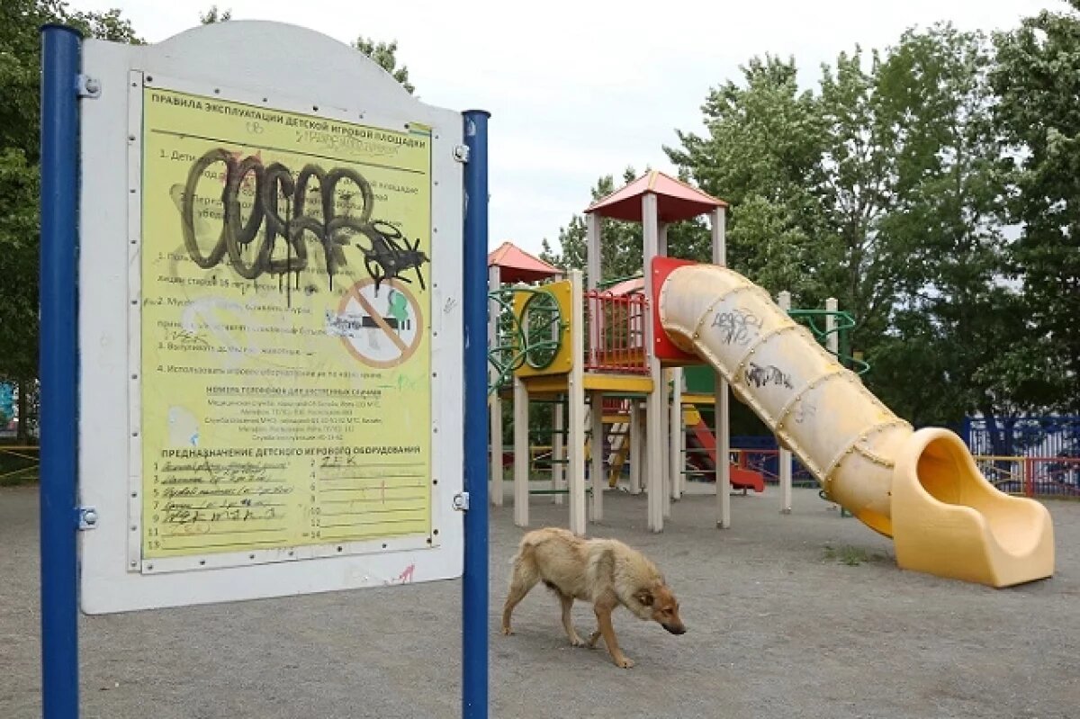    Более половины детских площадок на Камчатке прокуратура признала опасными