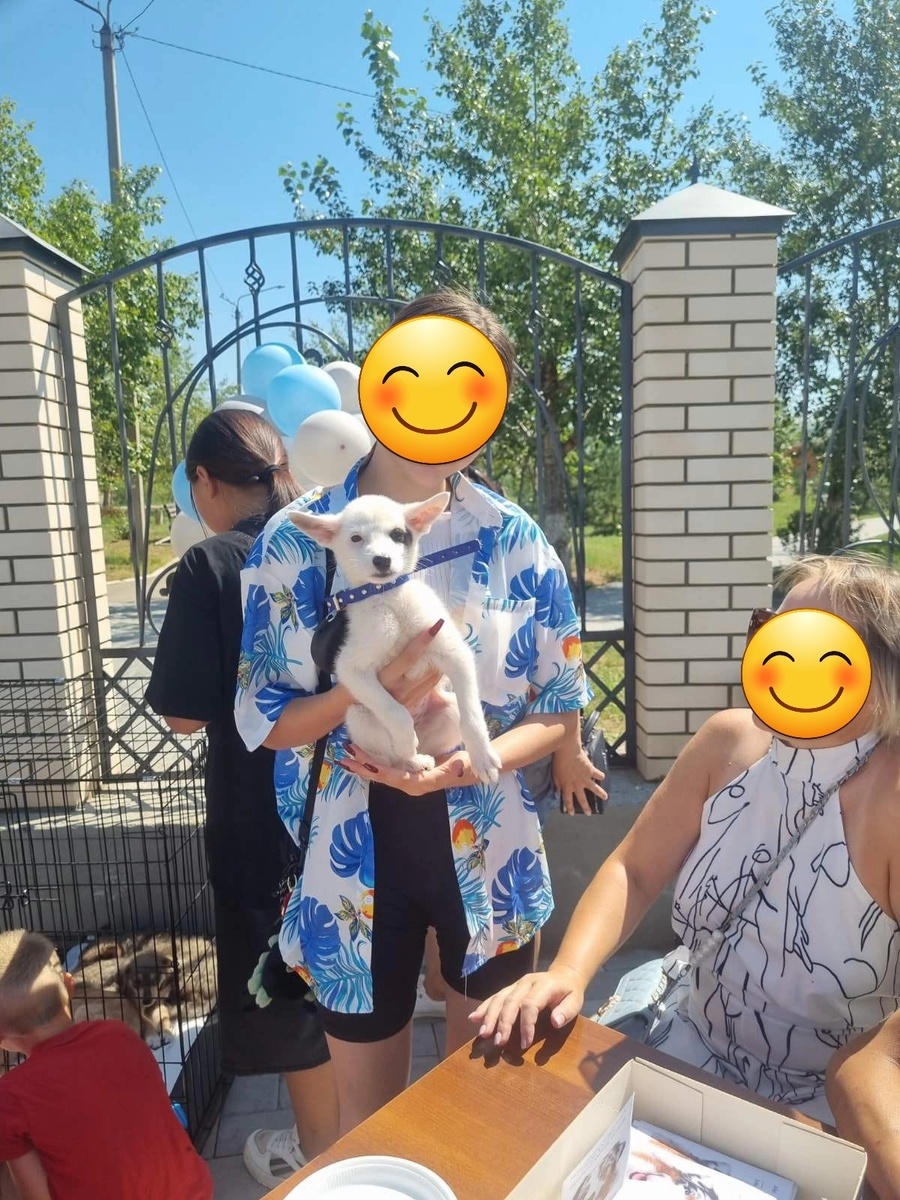 Наша Умка в хороших руках🙏🏻