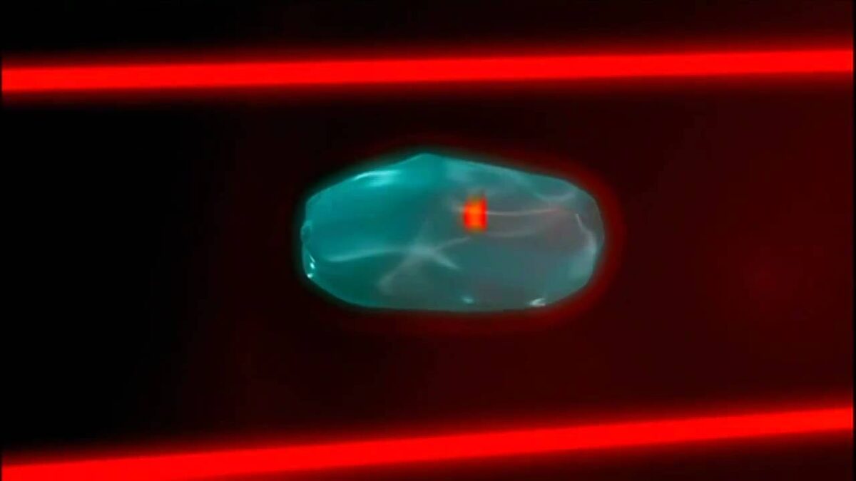 © thewordisnow.wordpress.com