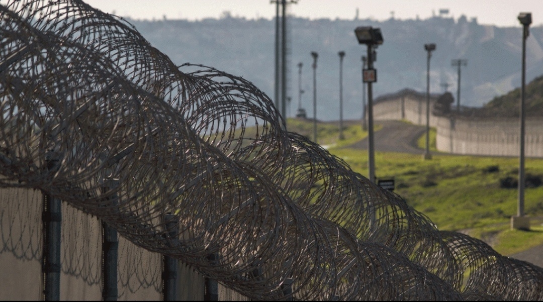 Фото было взято из открытых источников 