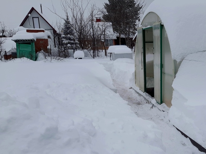 Вот это зеленое строение слева на фото и есть то самое злочастное строение,  у которого украли дырку.