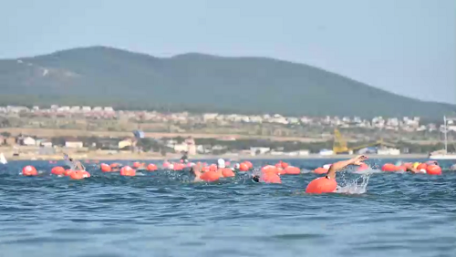    Фото: пресс-служба администрации Геленджика