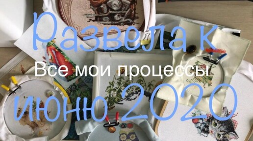 1. Вышивка крестом. Мои процессы июнь 2020. Dimensions, Design Works, Риолис, Жар-Птица, Чудесная игла, Овен и др