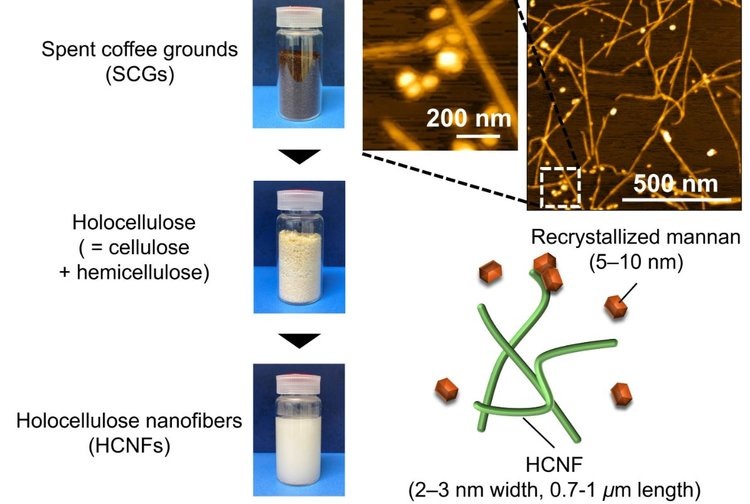     Переработка кофейной гущи в пищевые эмульгаторы позволяет получать продукты с высокой добавленной стоимостью

