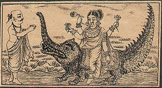 �����-���� �� ������