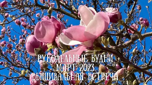 127. Рукодельные будни марта. Продвижения, приобретения, подарки! Вышивальная встреча🌸