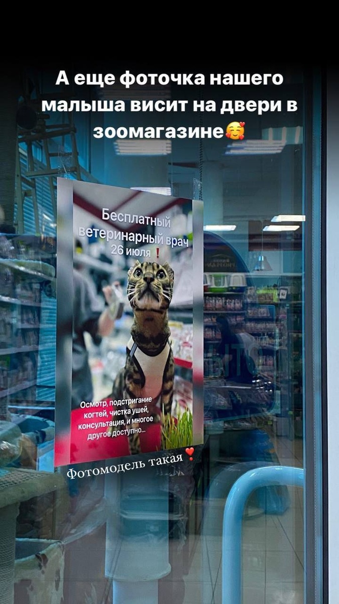 Лицо магазина, ой, то есть мордочка!