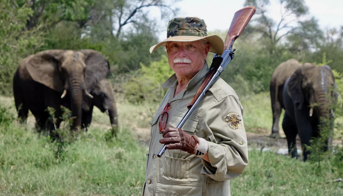 Жираф сафари. Охота. People hunt wild animals. People hunt wild animals. Тигр бежит.