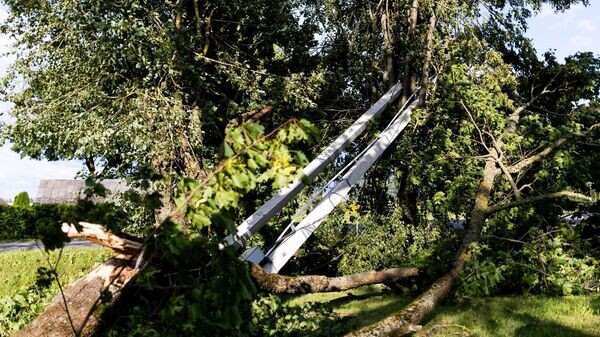    © Photo : Social media page of Energijos skirstymo operatorius / Lukas Balandis