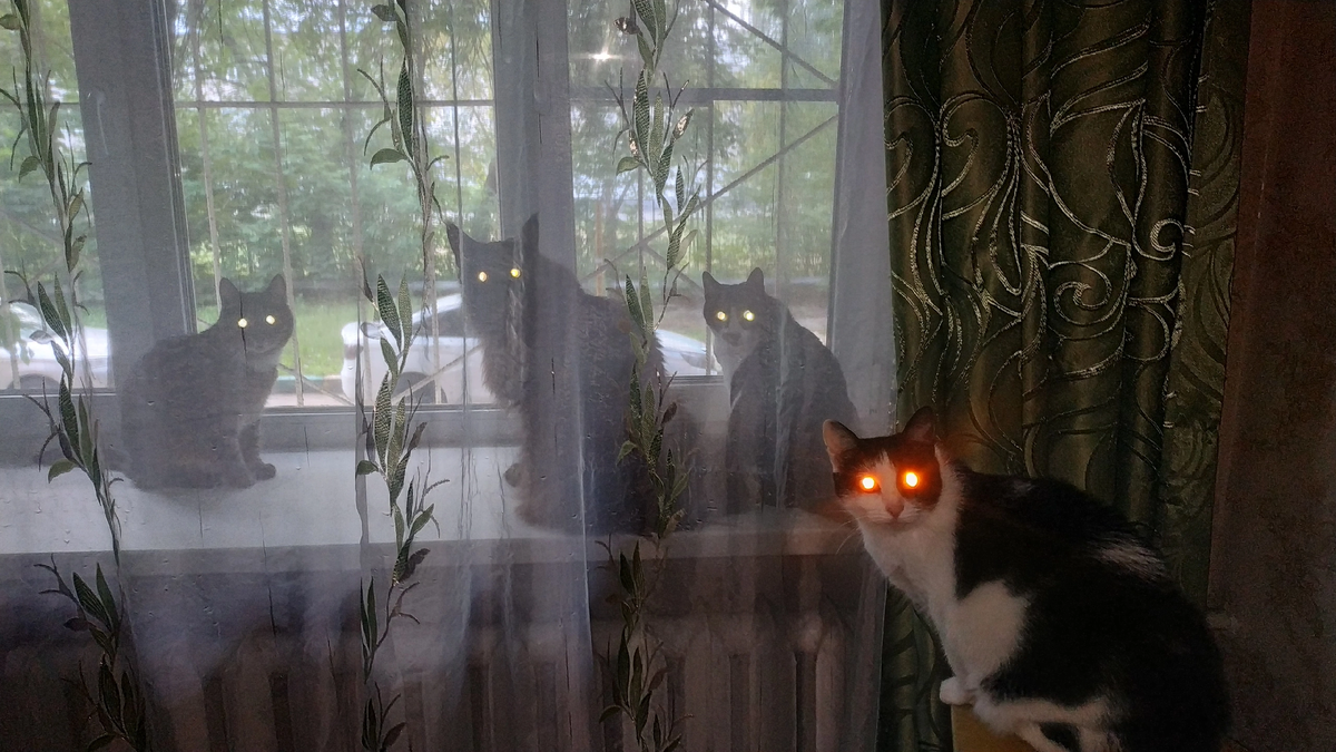 Фото брата автора