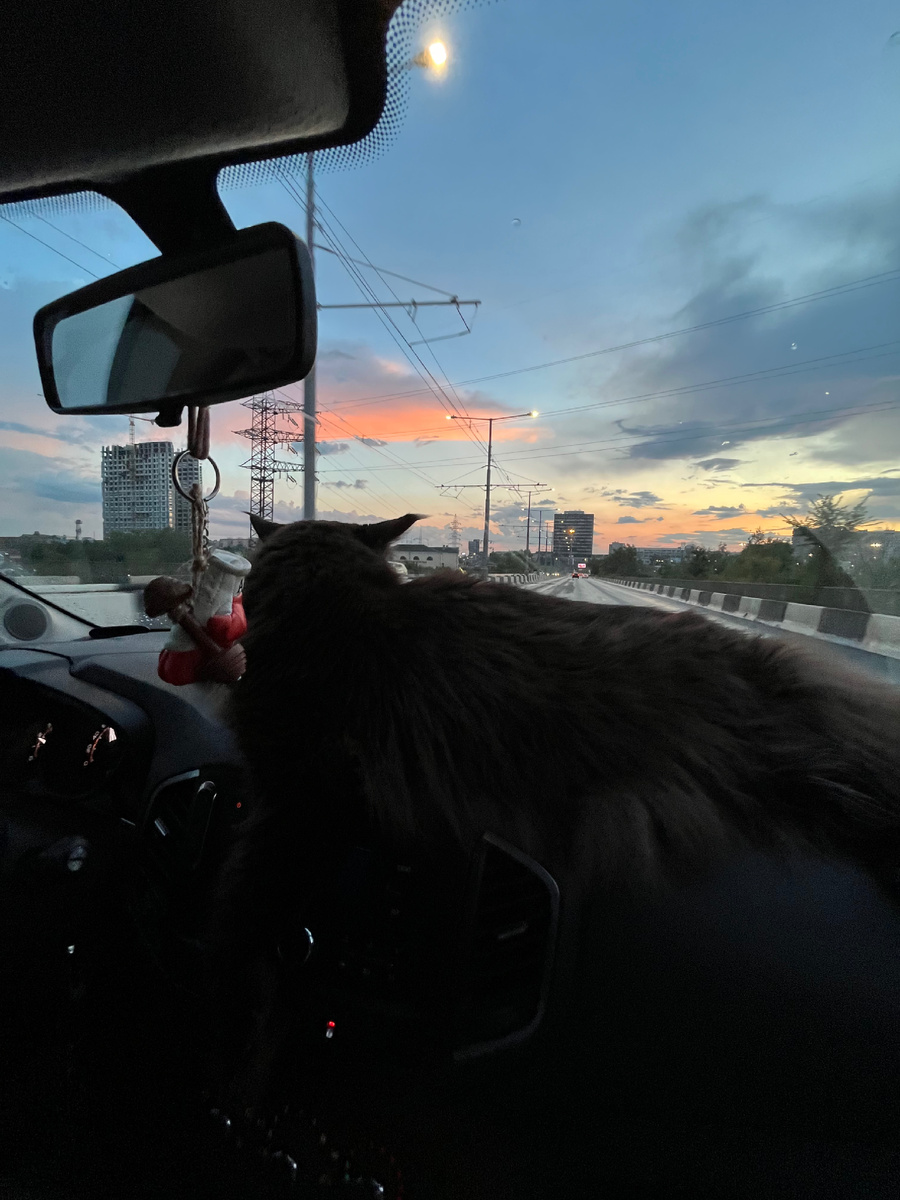 Фото автора. 