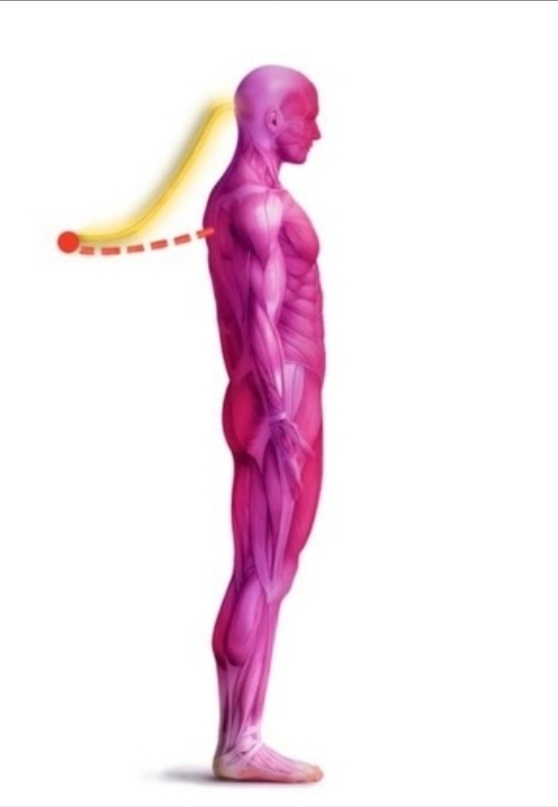 На фото косица намерения, описана В. Зеландом в книге «Тафти жрица. Гуляниеживьем в кинокартине»