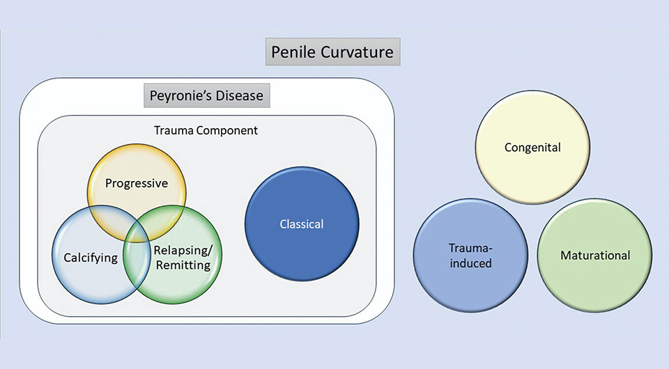   Landon Trost et al. / Journal of Urology, 2024