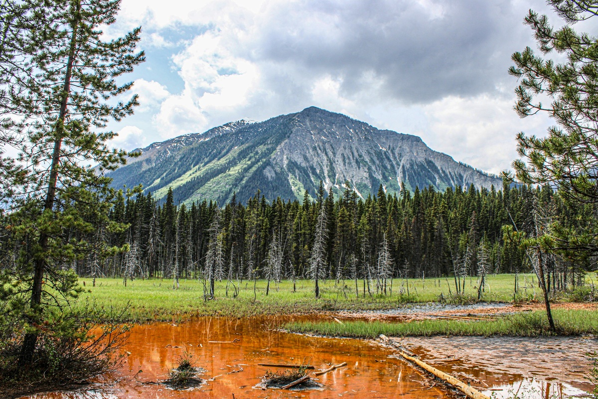 Фото с бесплатного фотостока https://unsplash.com, автор Peter Robbins