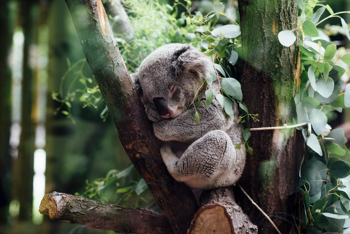 Картинка с бесплатного фотостока https://unsplash.com, автор Jordan Whitt