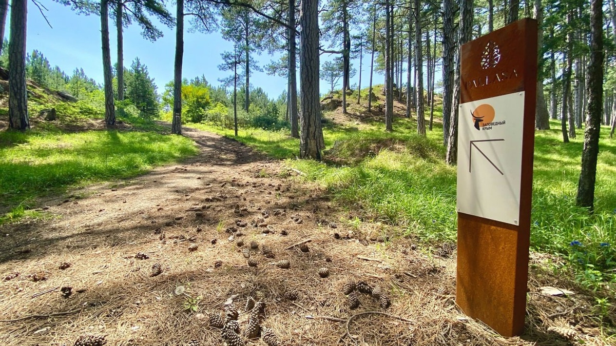 Маршрут тропа палласа. Демерджи туристическая тропа маршрут. Крымская тропа маршрут. Тропы в ялте маршруты на карте. Еврейская тропа алупка.