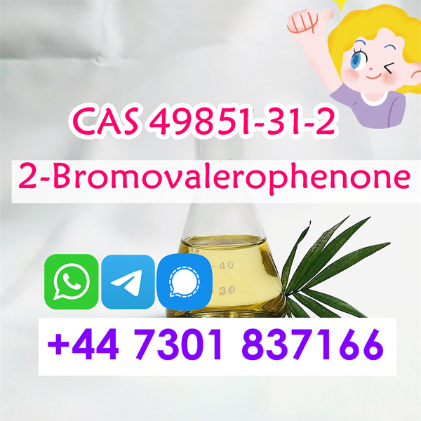 2 Bromovalerophenone