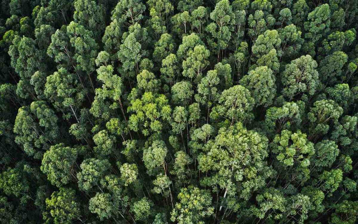    Мягко стелет – жестко спать. Как тамбовское минэкологии прокомментировало промежуточные итоги нацпроекта «Экология» Фото: ru.freepik.com