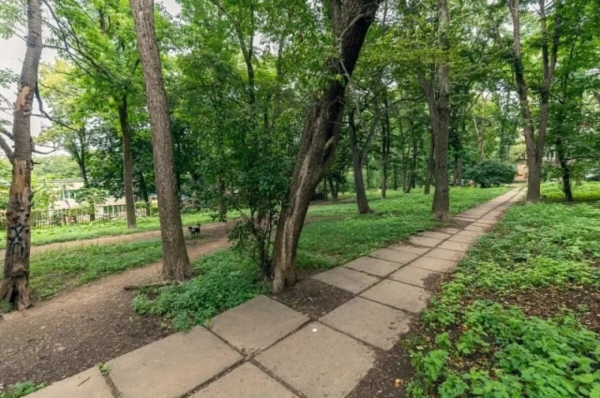    Жителей Владивостока приглашают решить судьбу сквера на Иртышской