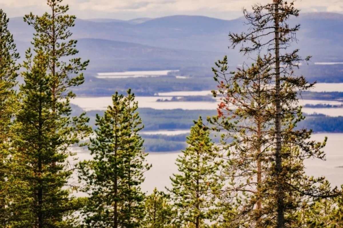    В Мурманской области горит более тысячи гектаров тундры