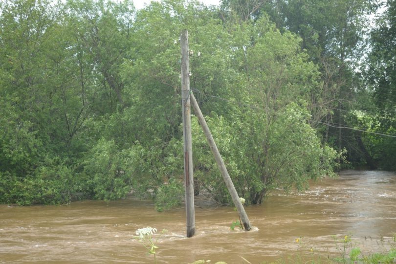    © Архив ИД «Компаньон»