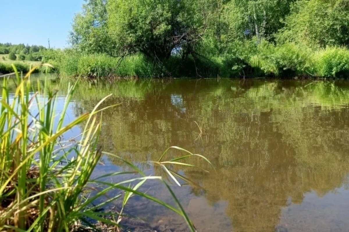    Одежда лежала на берегу.