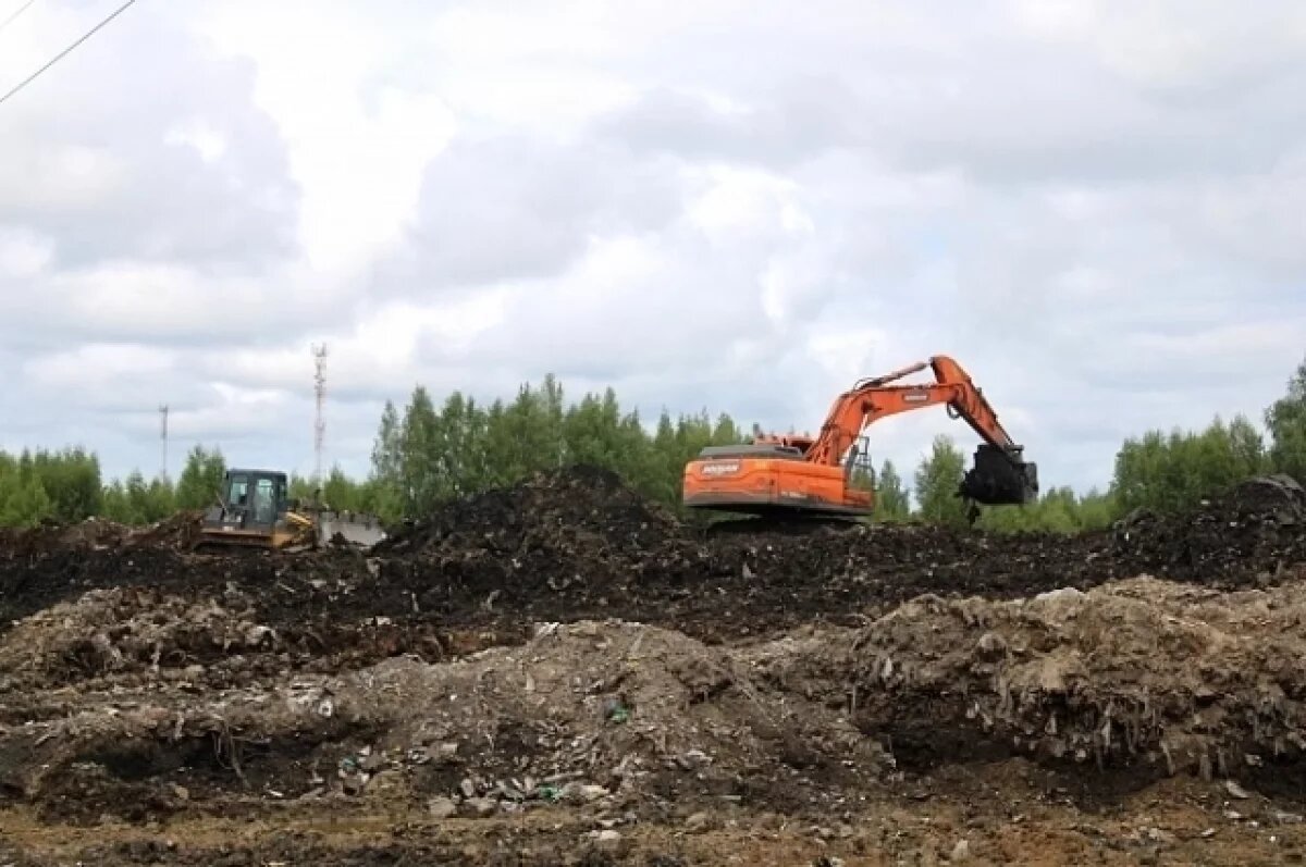    На рекультивацию свалки в Наволоках выделили 68 миллионов рублей