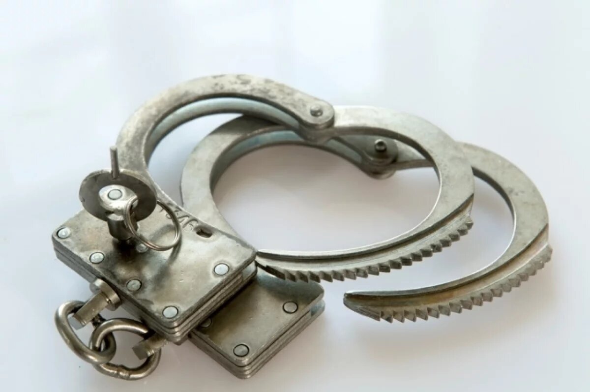    Задержаны подозреваемые в жестоком убийстве 25-летней девушки в Петербурге