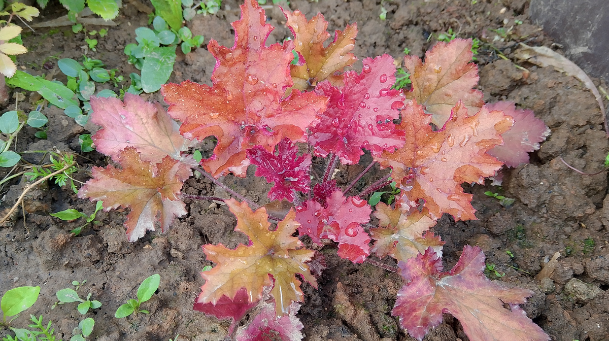 Август 2024 года