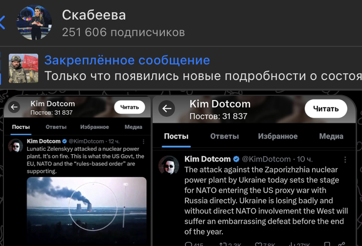    Скриншот: t.me/skabeeva/30443