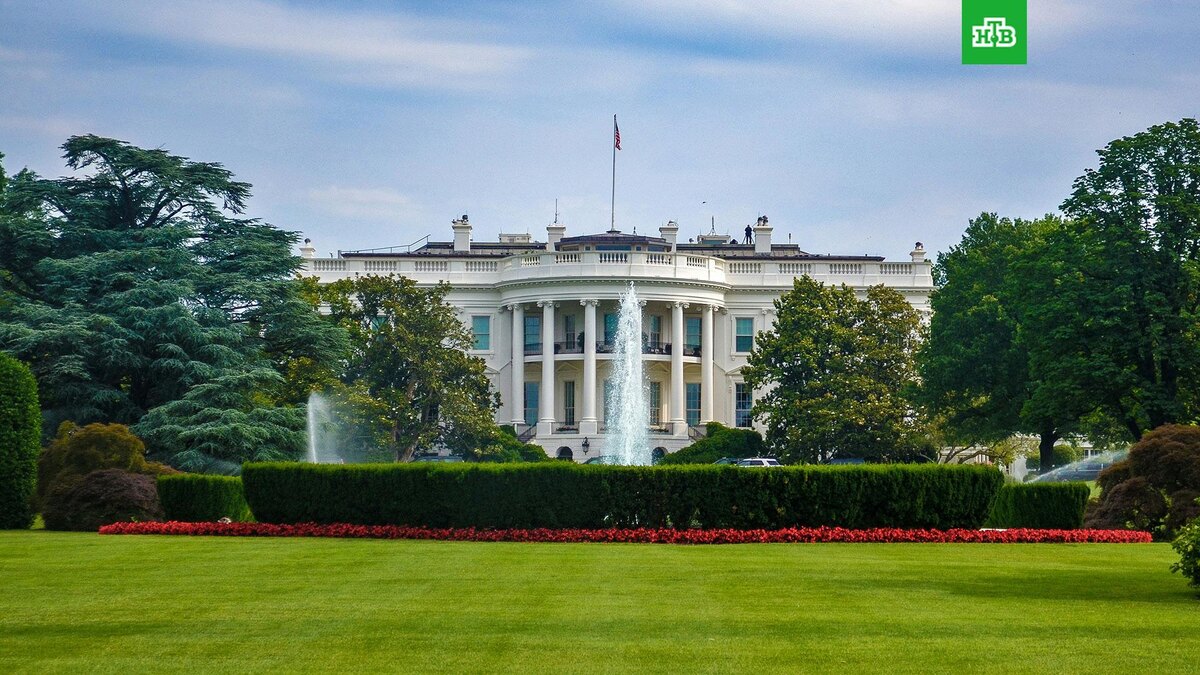    Фото: David Everett Strickler / unsplash.com