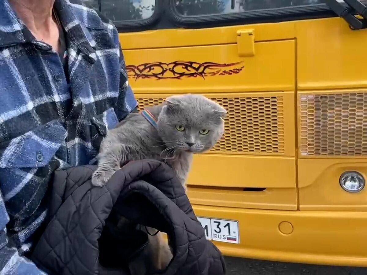    Пункт распределения в поселке Ракитное для эвакуированных жителей© @vvgladkov