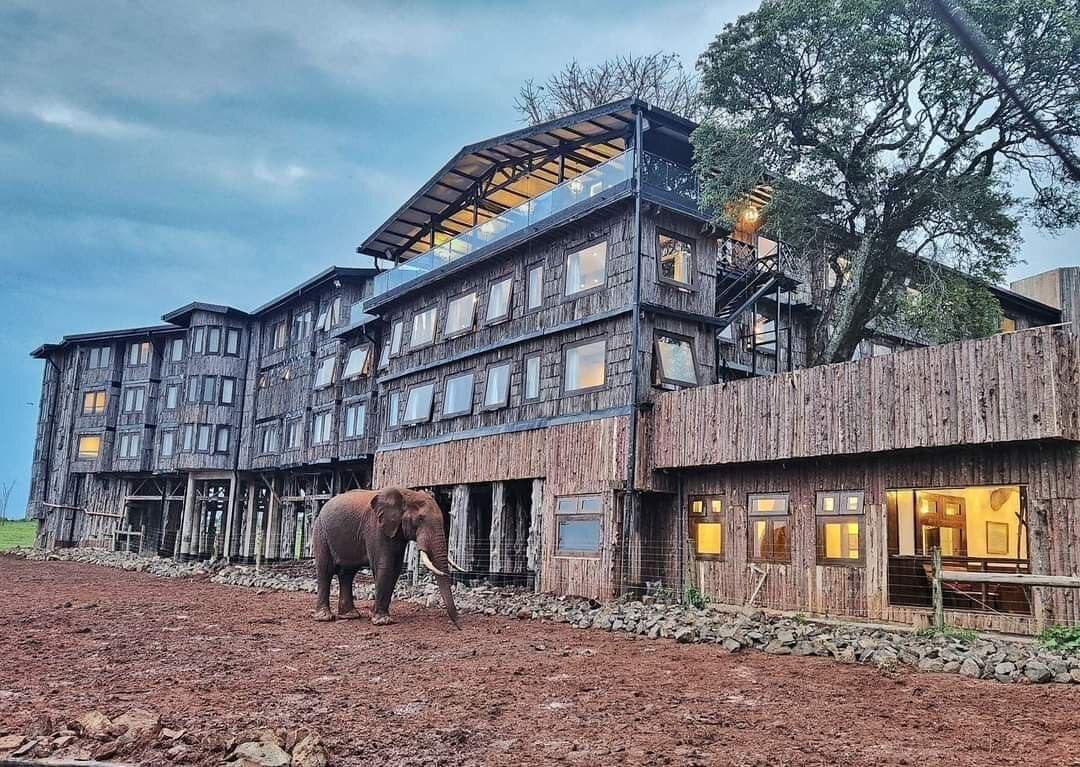 Treetops Lodge, парк Абердаре, Кения.