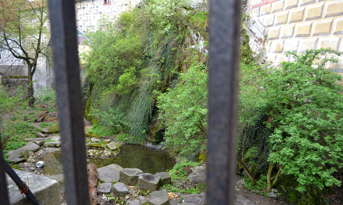 Ров с медведями. Мне они позировать не стали.