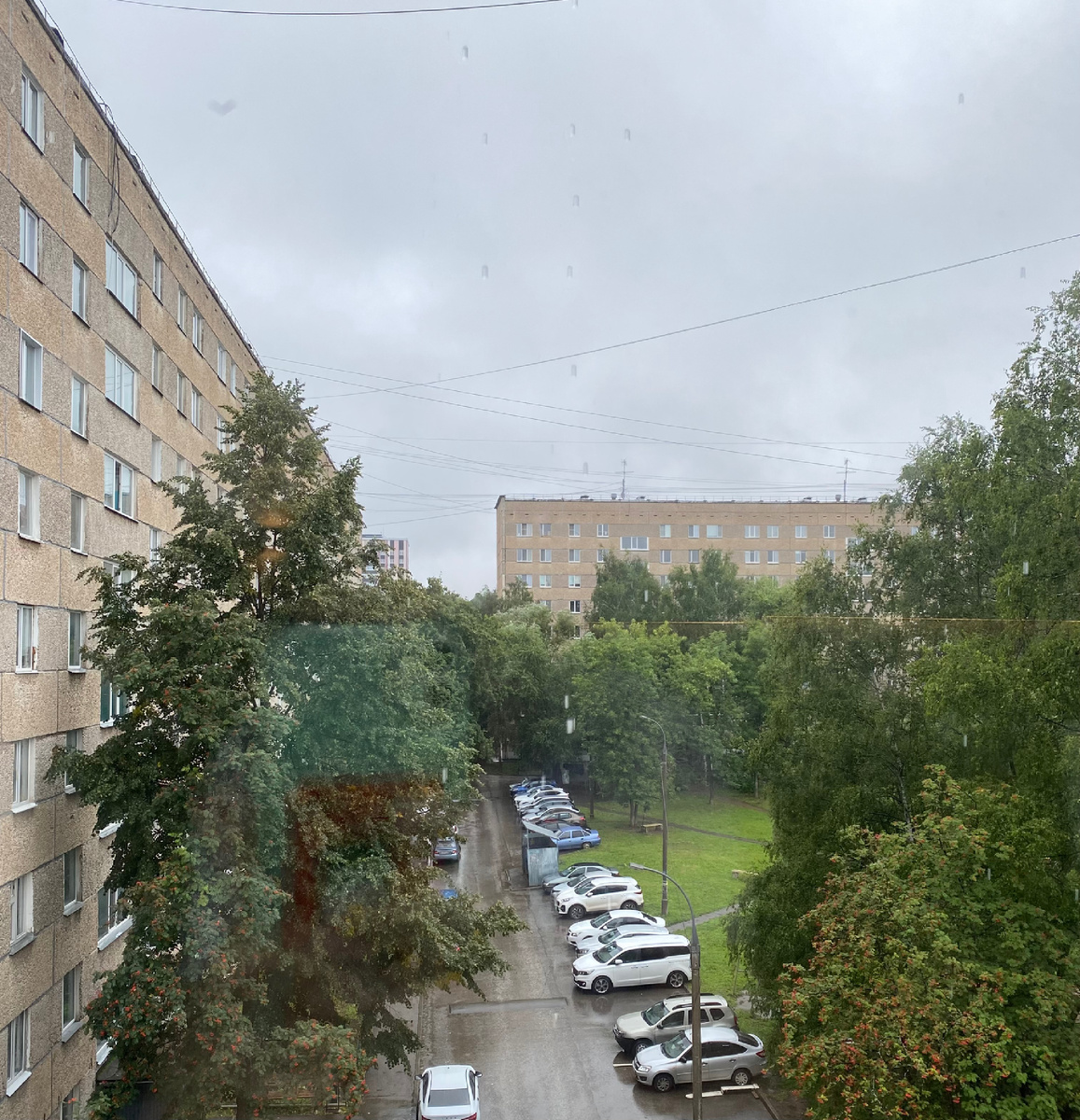 Погода так себе, но дождик мелкий и не часто, гуляли без него.