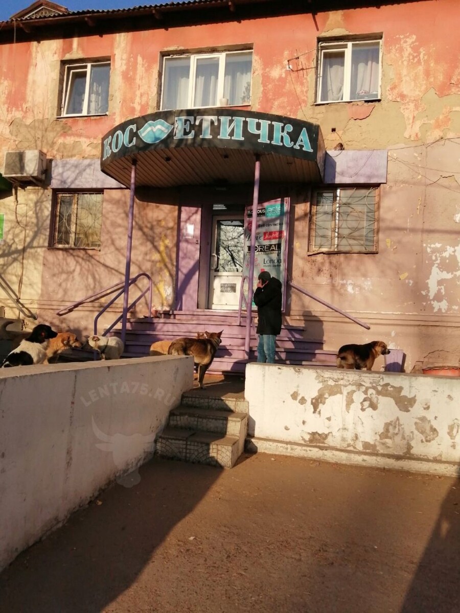    Фото: Очевидец