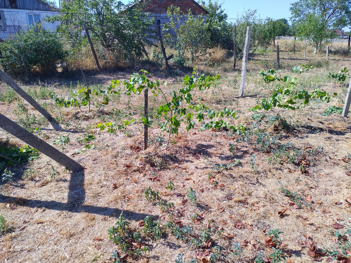 Ну красота же...