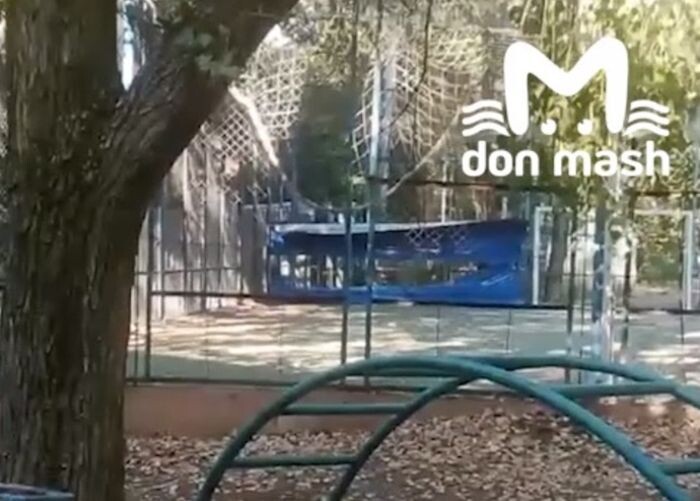 Источник фото: Don Mash/скриншот с видео