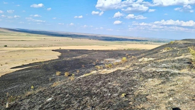    Сгоревшая сухая трава в Петровском округе Фото: МЧС Ставрополья