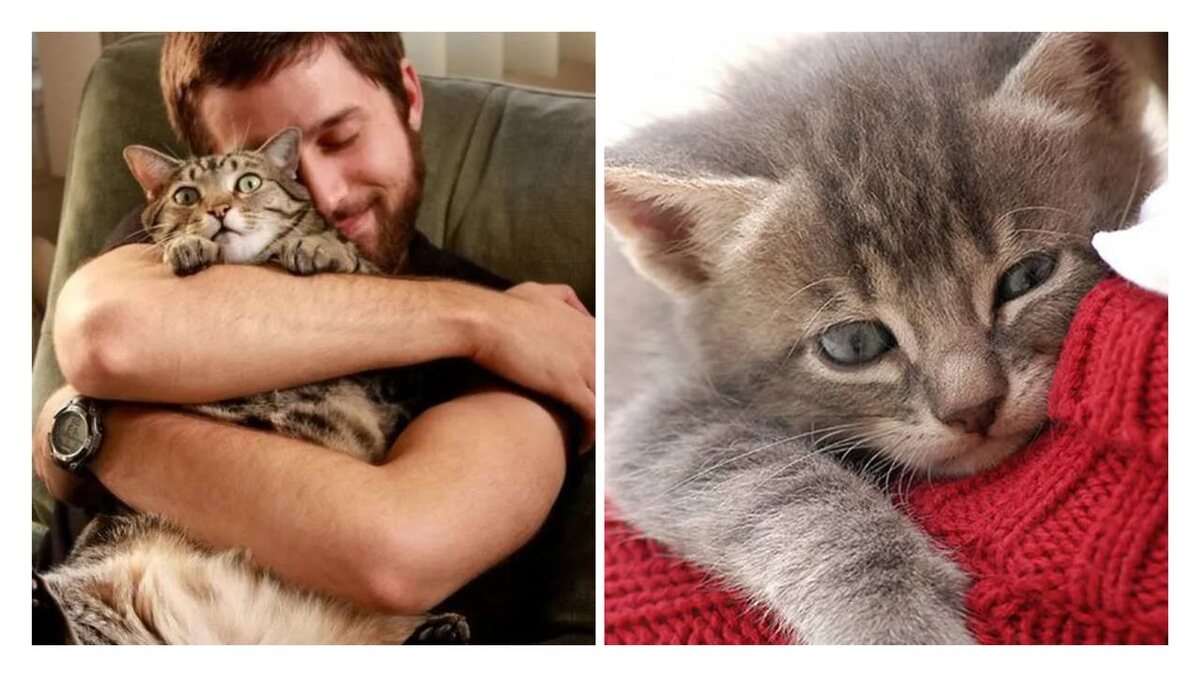 Из открытых источников