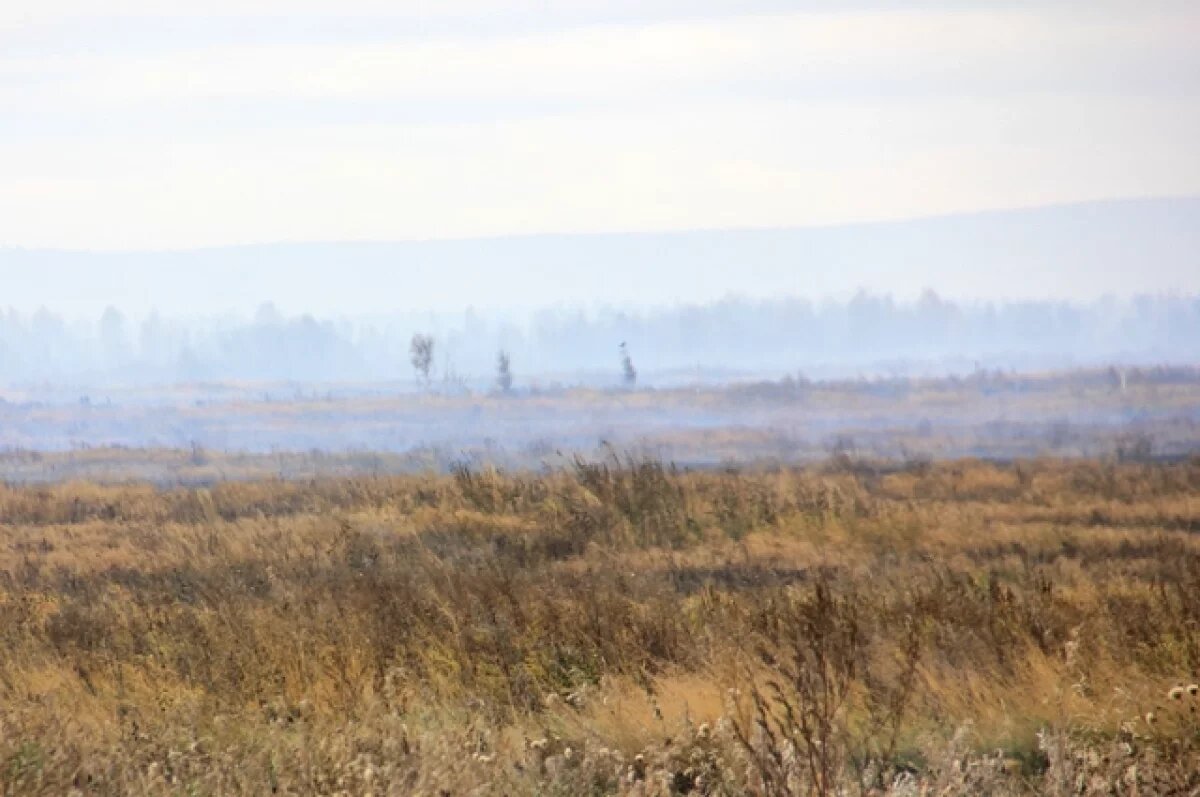    Под Киржачём открыт обновленный памятник работникам торфоразработок