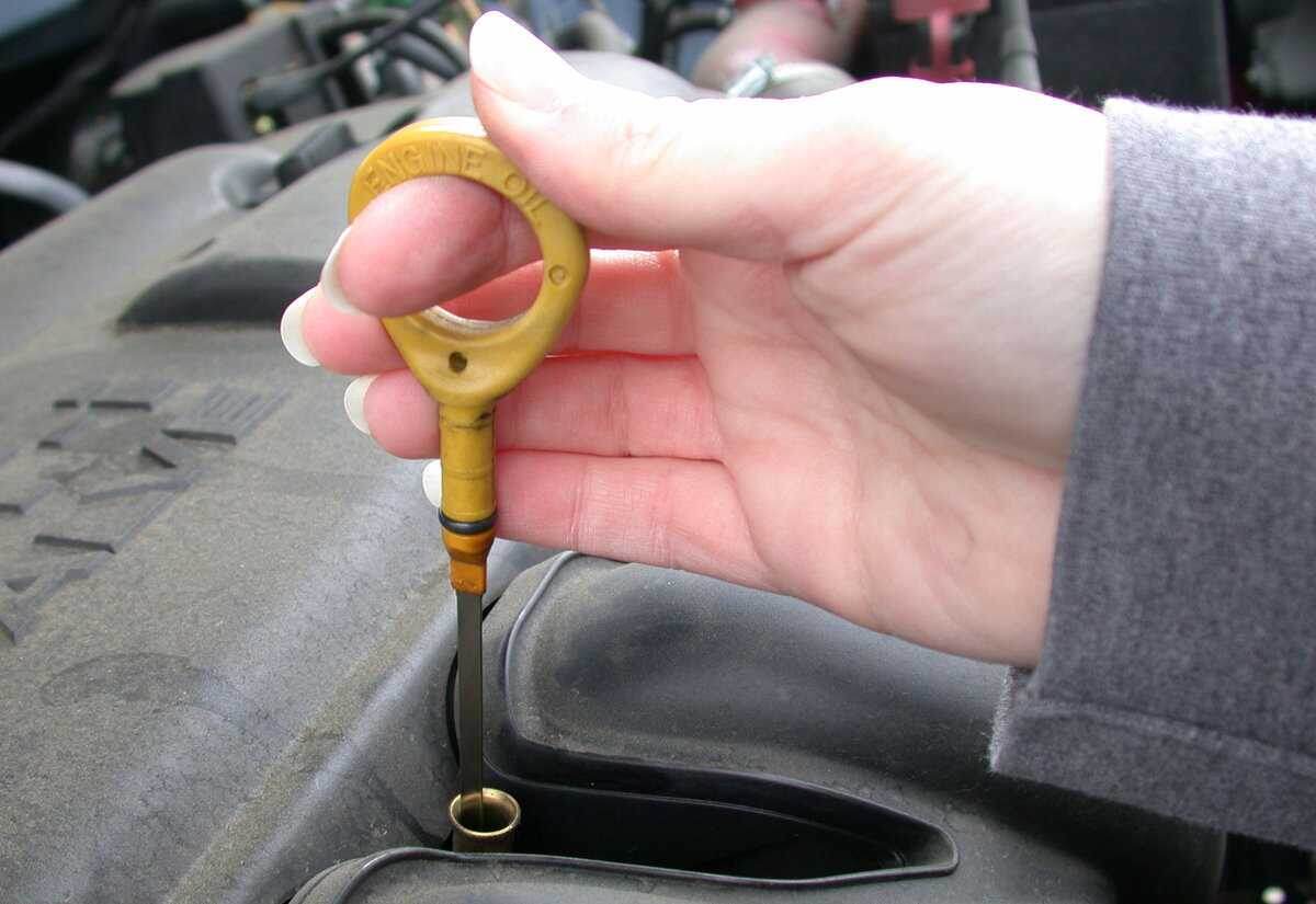 Источник Яндекс Картинки