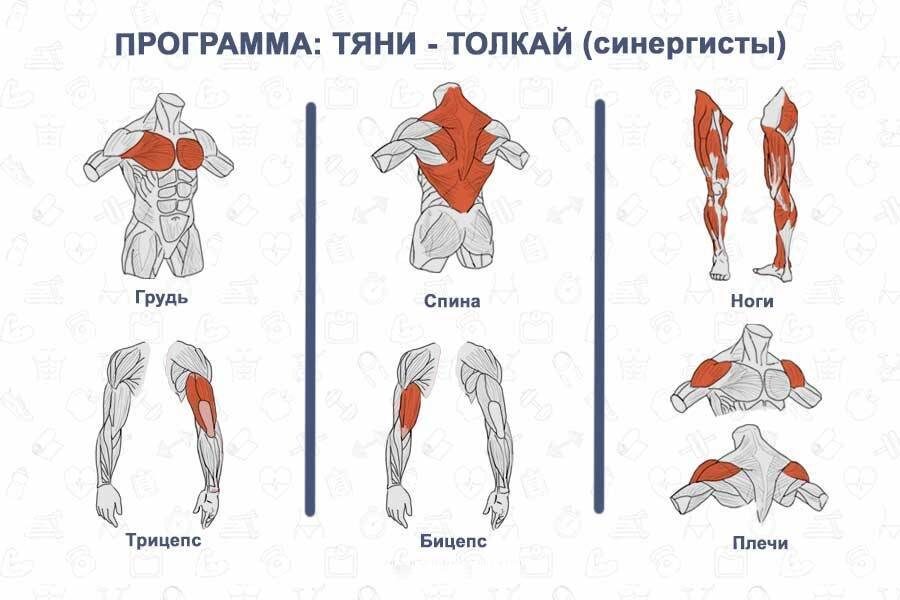Принцип тяни-толкай.