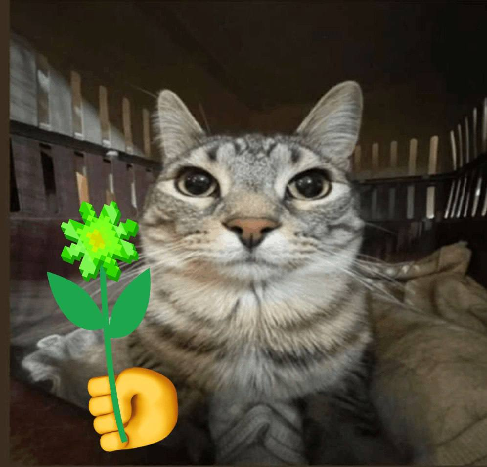 Цветочки-цветочки-цветочки!