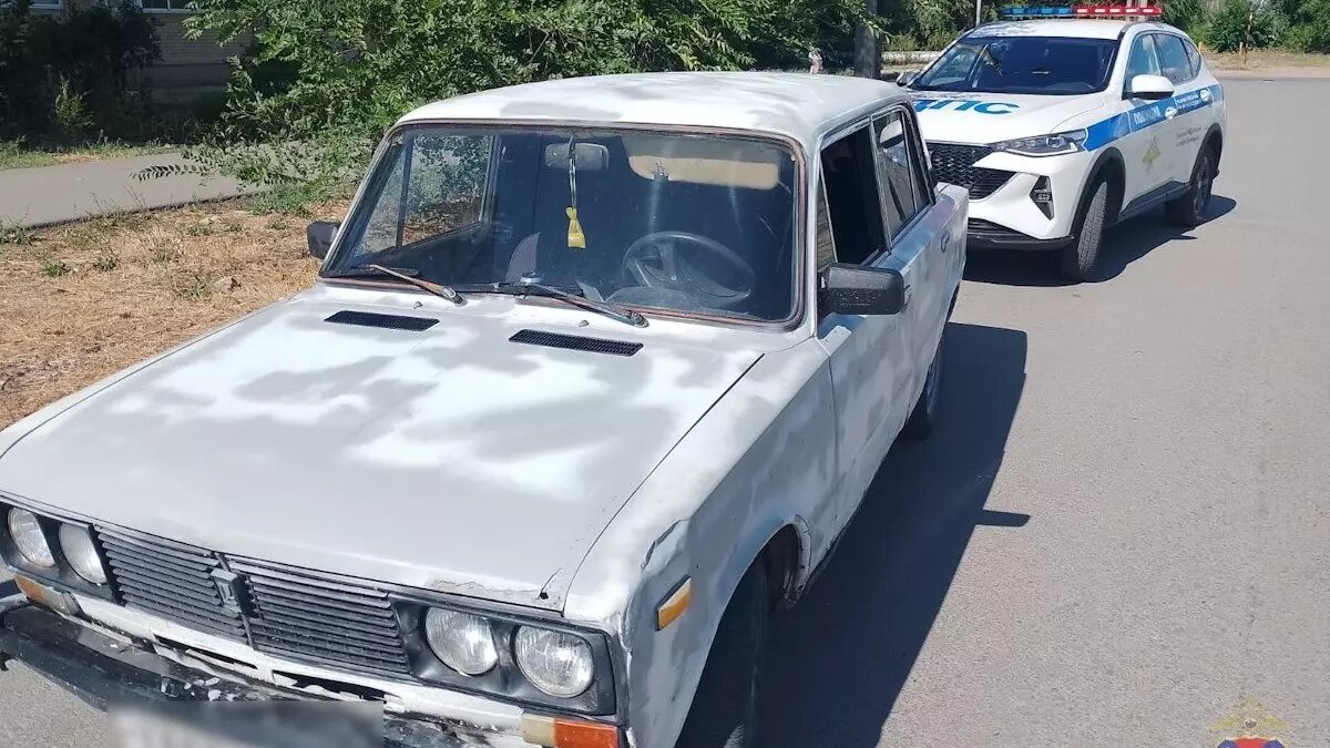     Источник: ГУ МВД по Волгоградской области