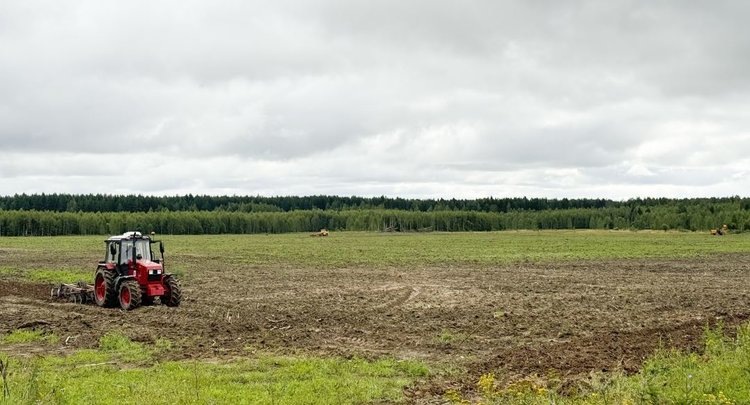    Лен долгунец на возрожденных сельхозземлях выращивает ивановское предприятия «Приискагро»