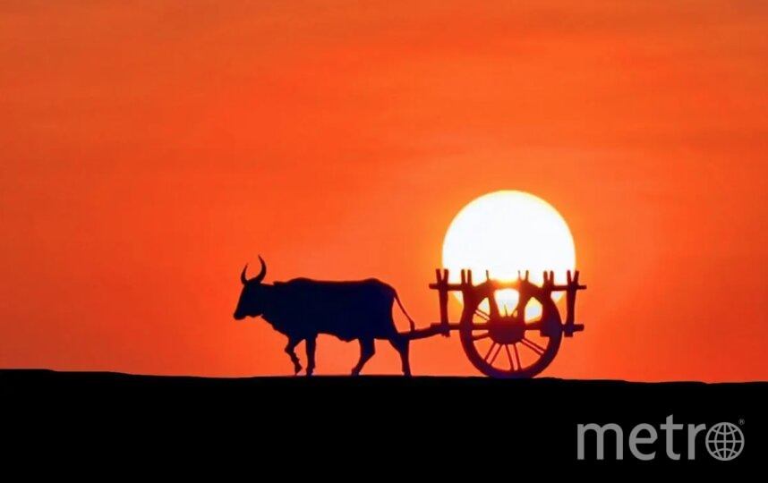    Мул везёт солнце в повозке. Адитья Шриранг Бхат.