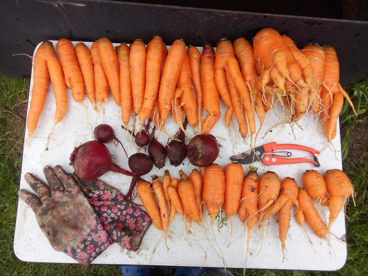 В статье все фото авторские.