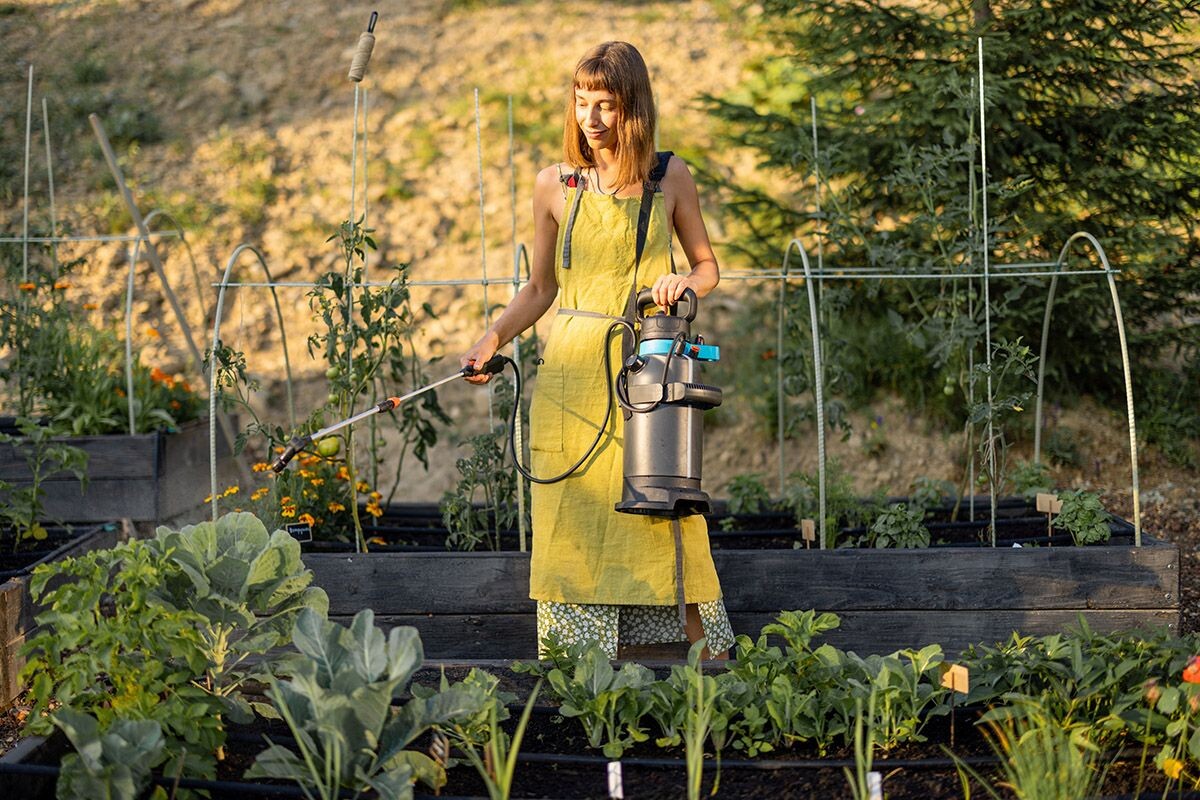 В органическом земледелии на первом месте — безопасность лекарств и удобрений. Источник: Shutterstock📷
