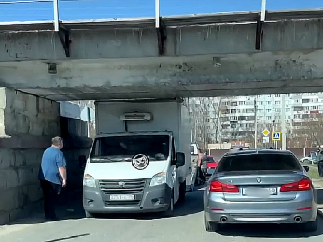 Картинка из свободных источников